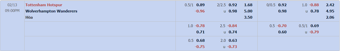 Tottenham Wolverhampton