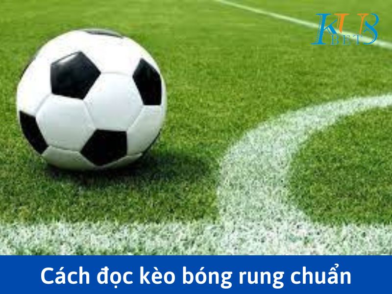 Cách đọc kèo bóng rung sao cho chuẩn