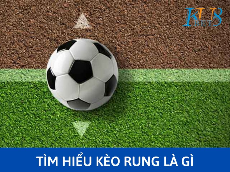 Kèo rung là gì ? Cách đọc kèo chuẩn tại nhà cái kubet8.us 1 kèo rung là gì